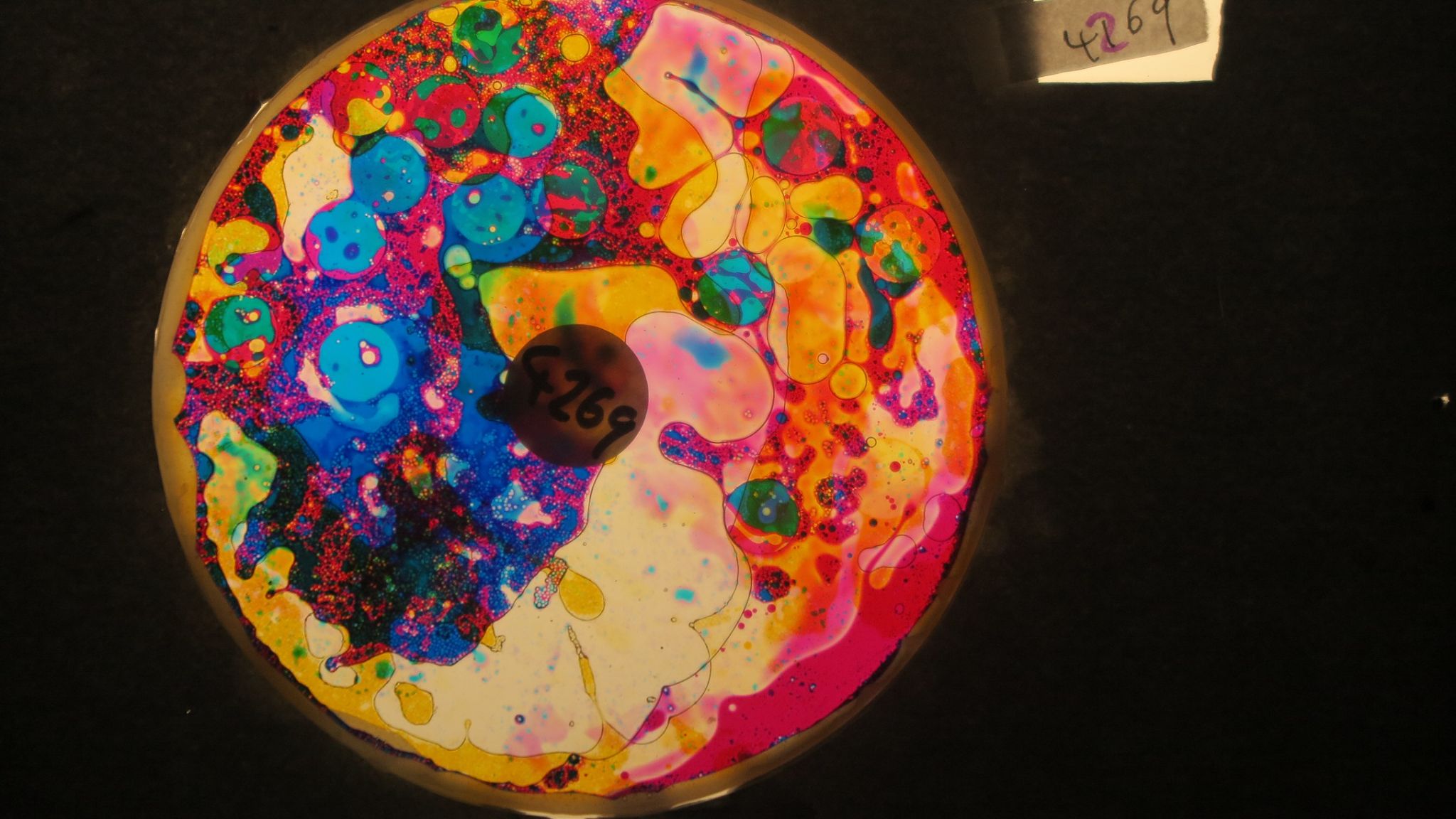 BV4269 bubble vision oil wheel